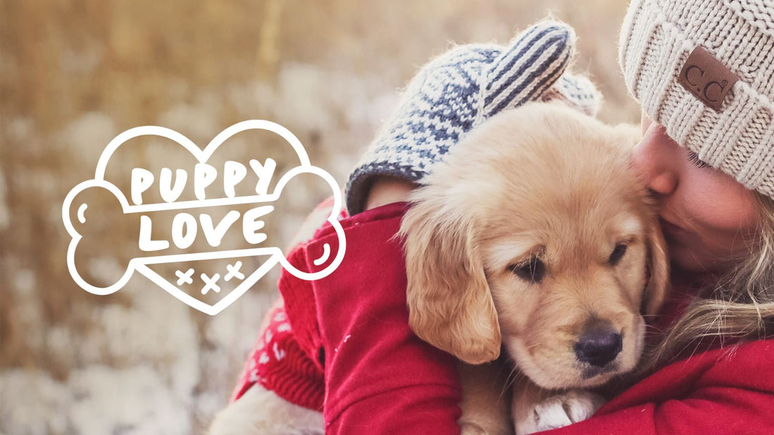 The Science Behind Puppy Love