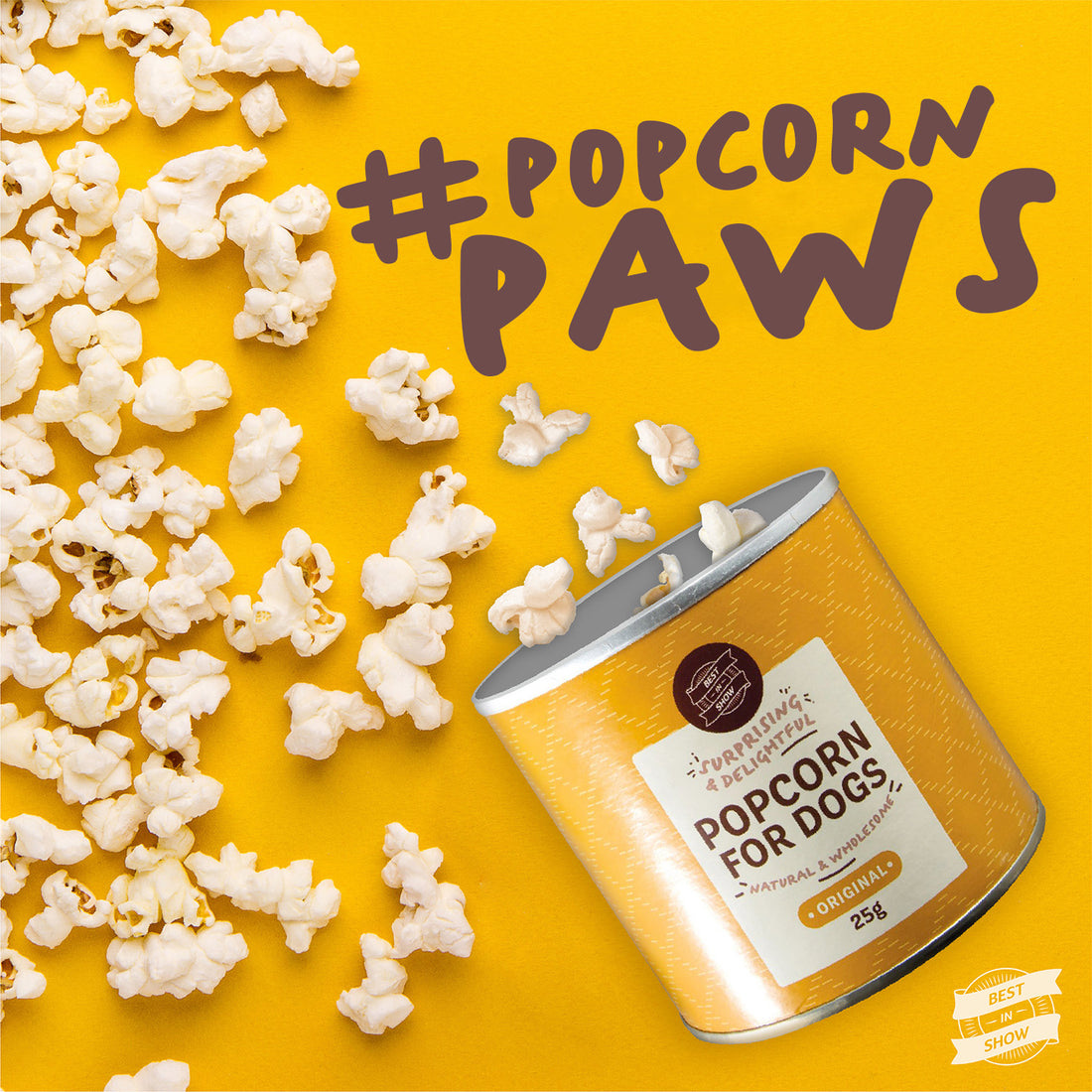 Curious Why Your Dog's Paws Smell Like Popcorn?
