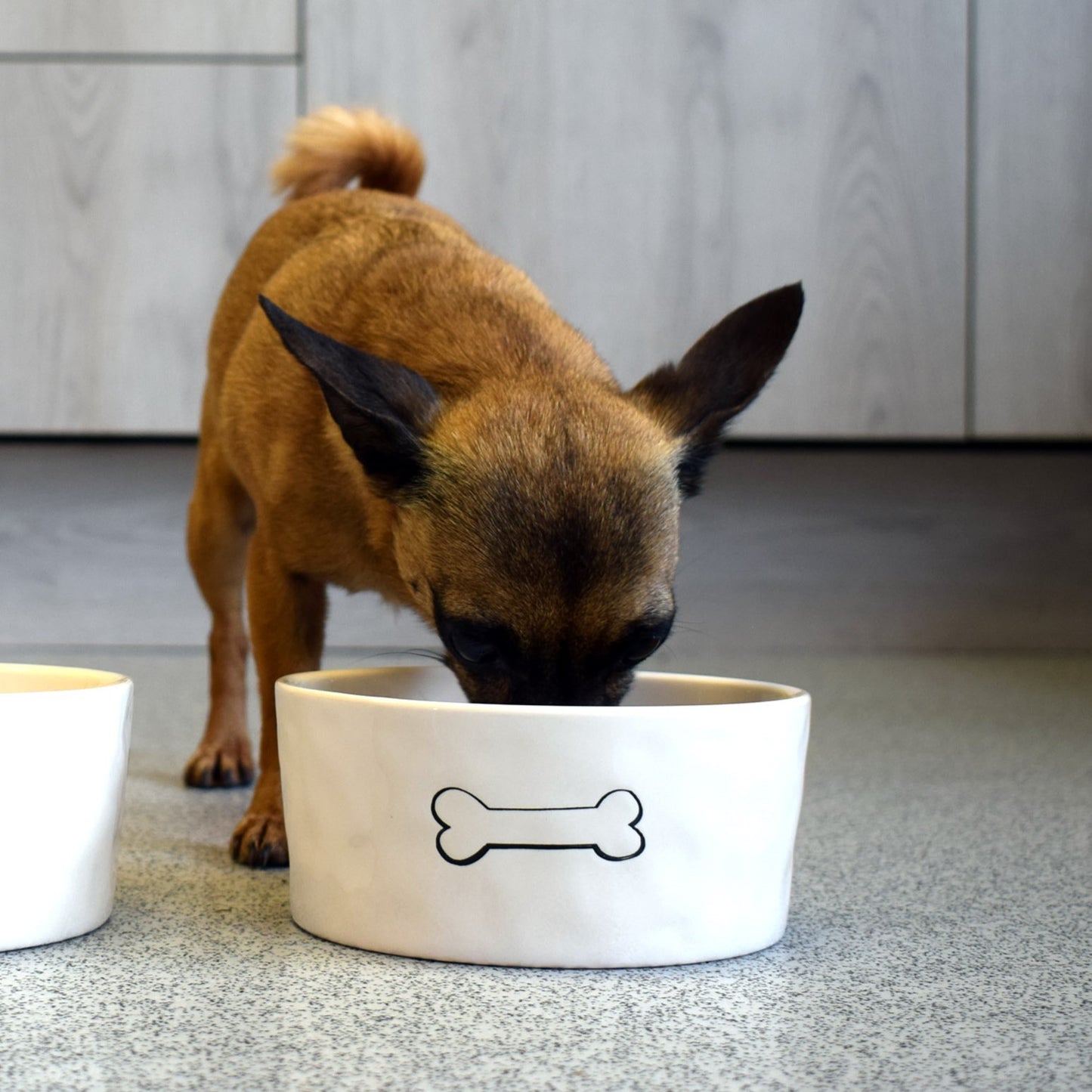 'Bone' Design Dog Bowl