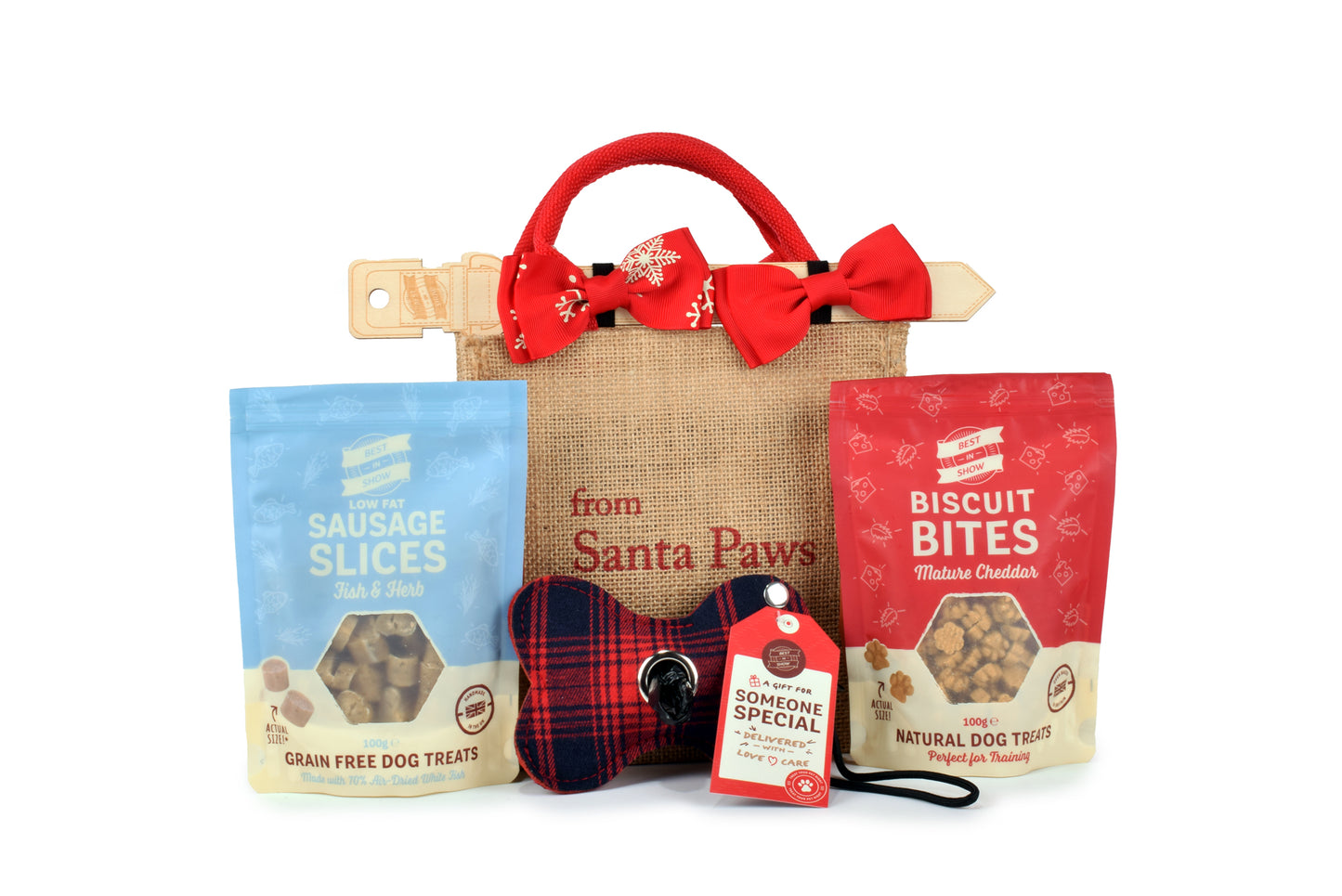 Santa Paws Gift Bag