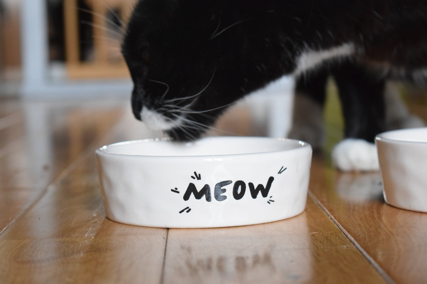 'Meow' Design Cat Bowl