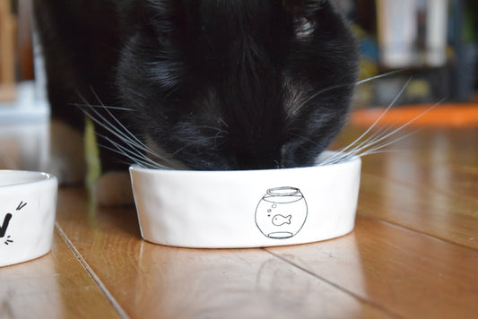 'Fishbowl' Design Cat Bowl