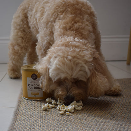 Popcorn for Dogs