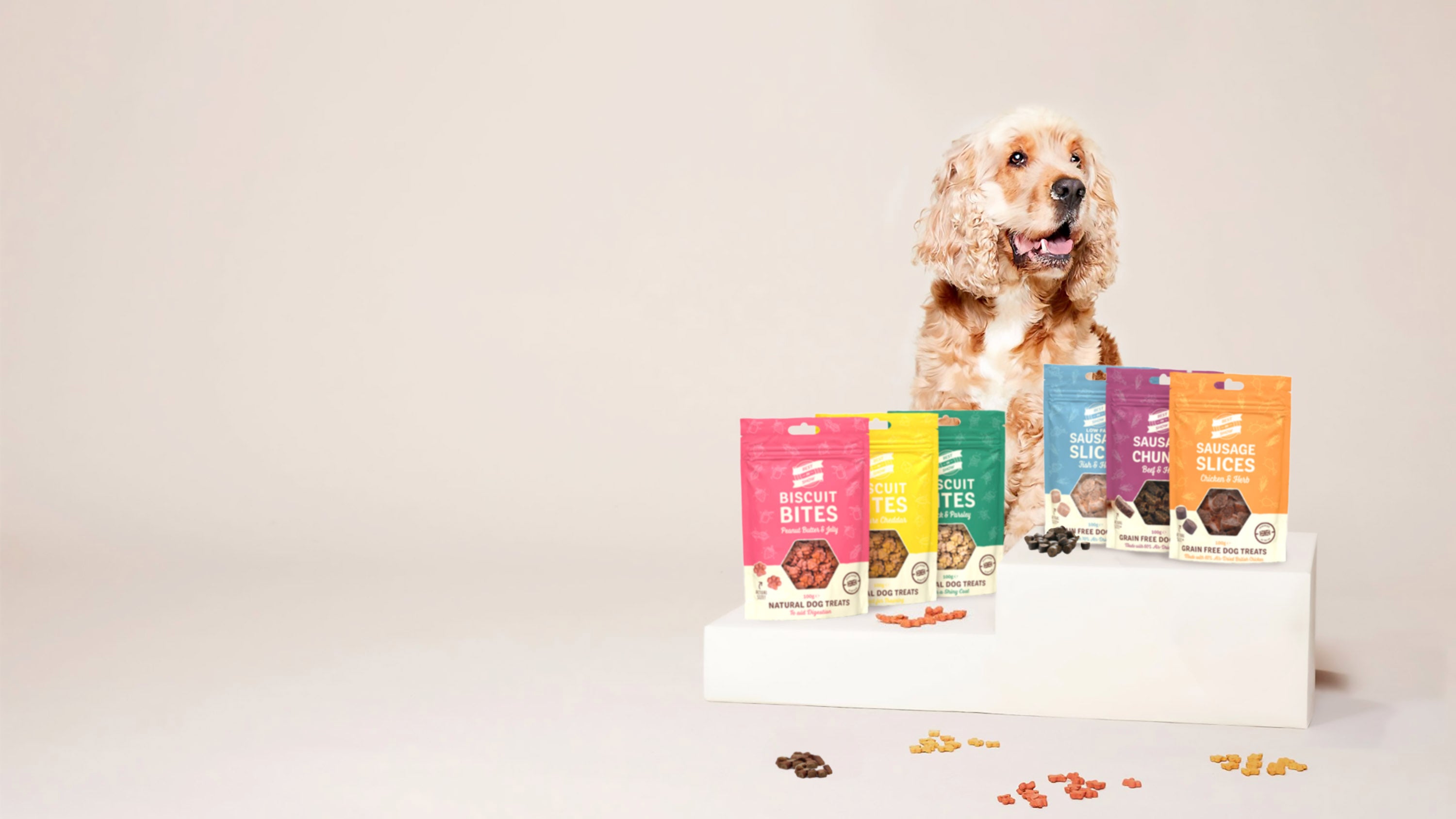 Pet treats gifts accessories Pets Best in Show Best In Show