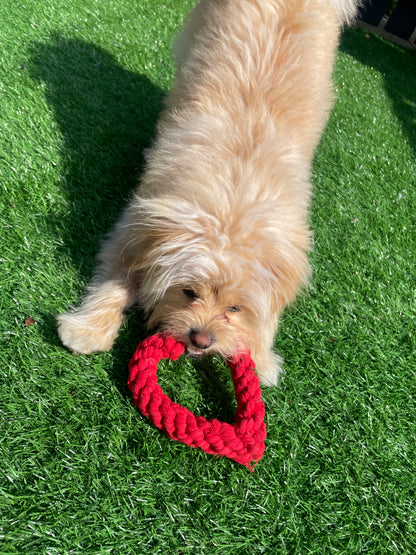 Heart Rope Toy